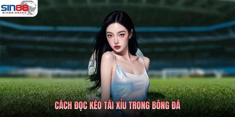 Cách Đọc Kèo Tài Xỉu Trong Bóng Đá Hiểu Đúng Phân Tích Chuẩn