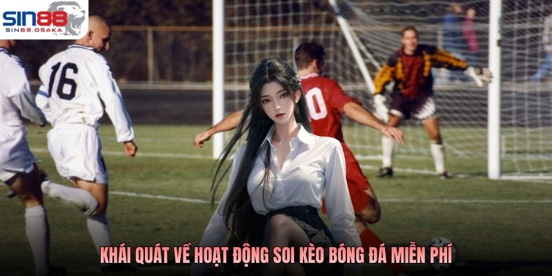 Khái quát về hoạt động soi kèo bóng đá miễn phí