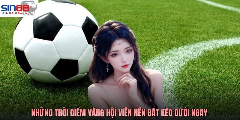 Những thời điểm vàng hội viên nên bắt kèo dưới ngay